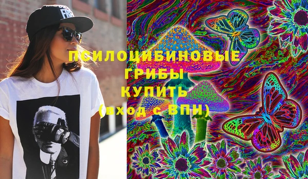 бошки Надым
